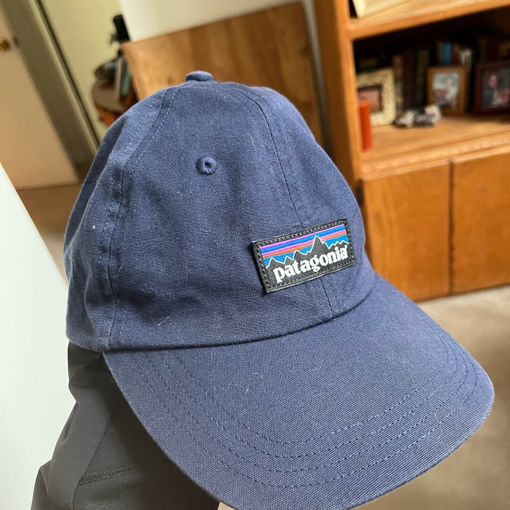 Patagonia baseball cap